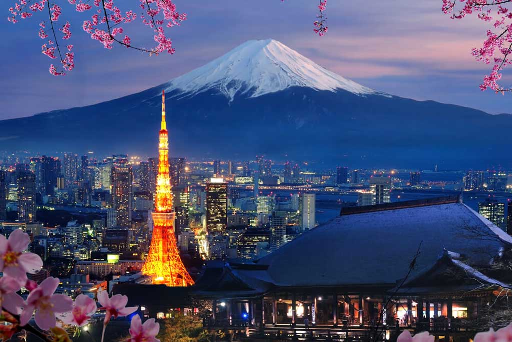 Phân khu Tokyo