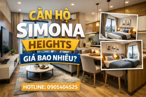 Simona Height giá bao nhiêu