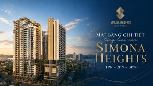 mat bang 1pn 2pn 3pn simona heights